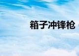 箱子冲锋枪（大冲锋怎么捡枪）