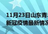 11月23日山东青岛今日疫情最新报告及青岛新冠疫情最新情况