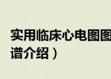 实用临床心电图图谱（关于实用临床心电图图谱介绍）