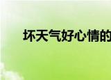 坏天气好心情的说说（坏天气好心情）