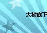 大树底下好乘凉（大树）