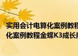 实用会计电算化案例教程金蝶K3成长版（关于实用会计电算化案例教程金蝶K3成长版介绍）