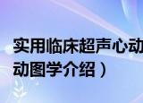 实用临床超声心动图学（关于实用临床超声心动图学介绍）