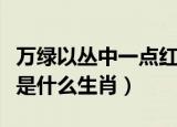 万绿以丛中一点红打一肖（万绿丛中红一点红是什么生肖）