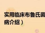 实用临床布鲁氏菌病（关于实用临床布鲁氏菌病介绍）
