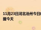 11月23日河北沧州今日疫情最新报告及沧州疫情最新实时数据今天