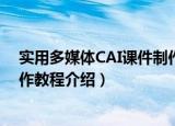 实用多媒体CAI课件制作教程（关于实用多媒体CAI课件制作教程介绍）