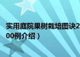 实用庭院果树栽培图诀200例（关于实用庭院果树栽培图诀200例介绍）