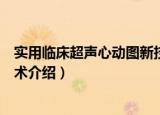 实用临床超声心动图新技术（关于实用临床超声心动图新技术介绍）
