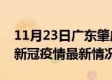 11月23日广东肇庆今日疫情最新报告及肇庆新冠疫情最新情况