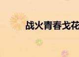 战火青春戈花恋（战火青春金戈）