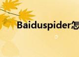 Baiduspider怎么读（baiduspider）