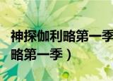 神探伽利略第一季电视剧在线观看（神探伽利略第一季）