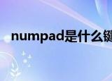 numpad是什么键（numpad1是哪个键）