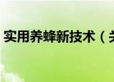 实用养蜂新技术（关于实用养蜂新技术介绍）