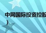 中网国际投资控股(深圳)有限公司（中网国际）