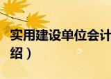 实用建设单位会计（关于实用建设单位会计介绍）