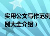 实用公文写作范例大全（关于实用公文写作范例大全介绍）
