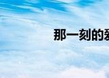 那一刻的爱（那一刻爱吧）