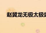 赵冀龙无极太极站桩桩功视频（赵翼龙）