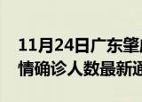 11月24日广东肇庆疫情新增多少例及肇庆疫情确诊人数最新通报