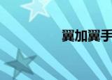 翼加翼手机（展翼手机）