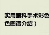 实用眼科手术彩色图谱（关于实用眼科手术彩色图谱介绍）