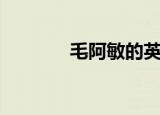 毛阿敏的英语（毛阿敏英语）