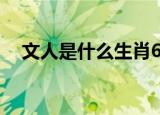 文人是什么生肖68期（文人是什么生肖）