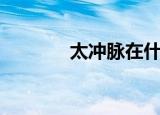 太冲脉在什么位置（太冲脉）