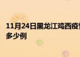 11月24日黑龙江鸡西疫情最新消息数据及鸡西疫情今天增加多少例