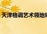 天津格调艺术领地噪音（天津格调艺术领地）