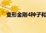 变形金刚4种子和手仗（变形金刚4种子）