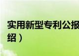 实用新型专利公报（关于实用新型专利公报介绍）