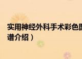 实用神经外科手术彩色图谱（关于实用神经外科手术彩色图谱介绍）