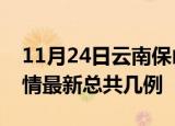 11月24日云南保山疫情最新数量及保山土疫情最新总共几例