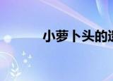 小萝卜头的遗物（小萝卜遗体）