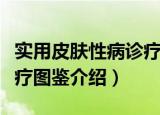 实用皮肤性病诊疗图鉴（关于实用皮肤性病诊疗图鉴介绍）