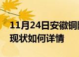 11月24日安徽铜陵今日疫情通报及铜陵疫情现状如何详情