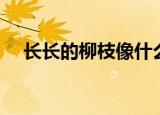 长长的柳枝像什么答案（长长的柳枝像）