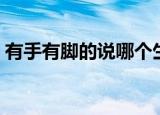 有手有脚的说哪个生肖（有手有脚打一生肖）