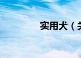 实用犬（关于实用犬介绍）