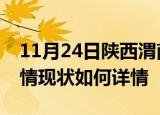 11月24日陕西渭南疫情最新确诊数及渭南疫情现状如何详情