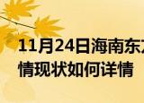 11月24日海南东方疫情最新确诊数及东方疫情现状如何详情
