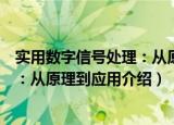 实用数字信号处理：从原理到应用（关于实用数字信号处理：从原理到应用介绍）