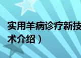 实用羊病诊疗新技术（关于实用羊病诊疗新技术介绍）