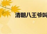 清朝八王爷叫什么（清朝八王爷）