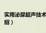 实用泌尿超声技术（关于实用泌尿超声技术介绍）