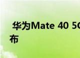  华为Mate 40 5G计划于2020年第四季度发布