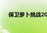 保卫萝卜挑战20关（保卫萝卜挑战20）